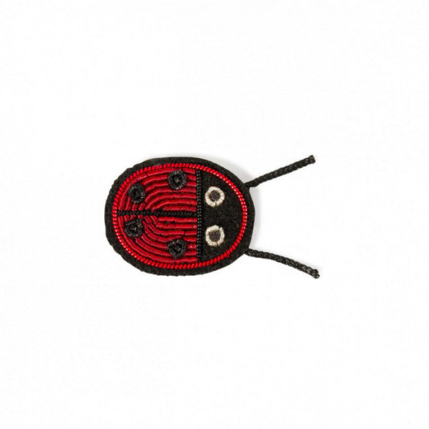 Ladybird