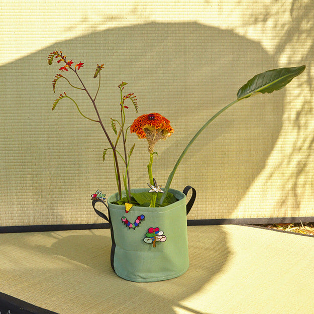 Ladybird