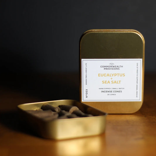 Incense Cones (Eucalyptus + Sea Salt)