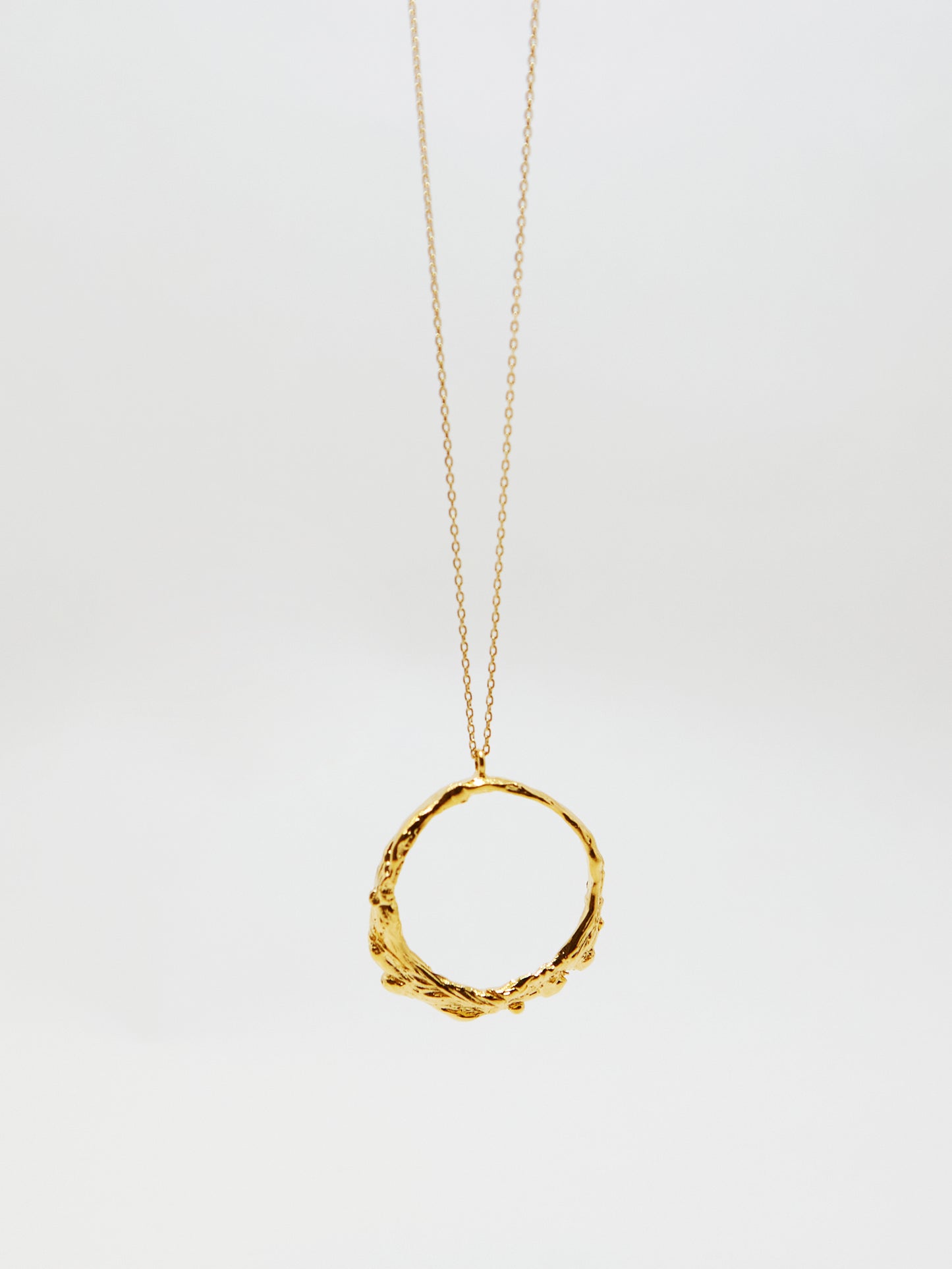 Circle Ring Necklace