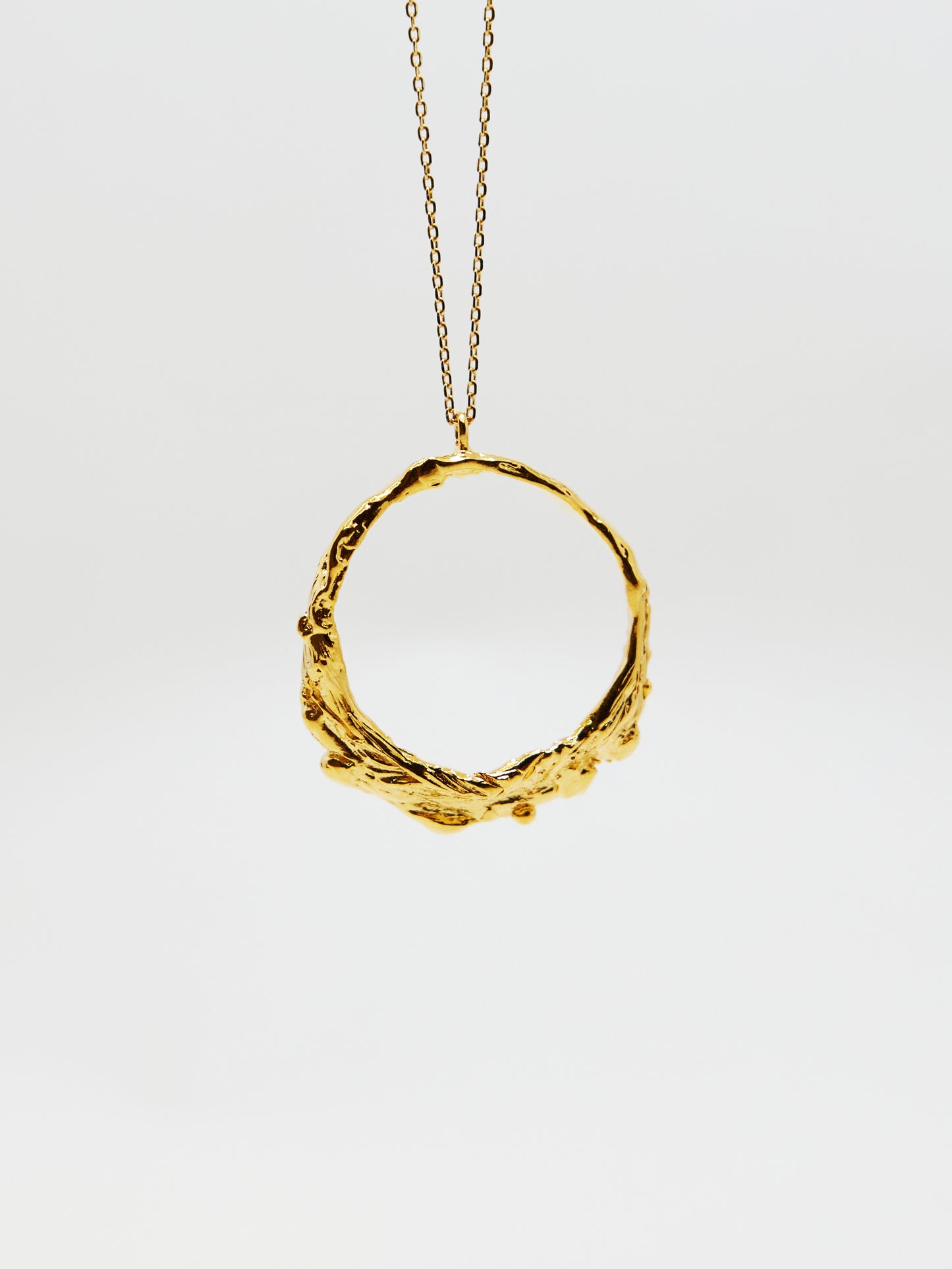 Circle Ring Necklace