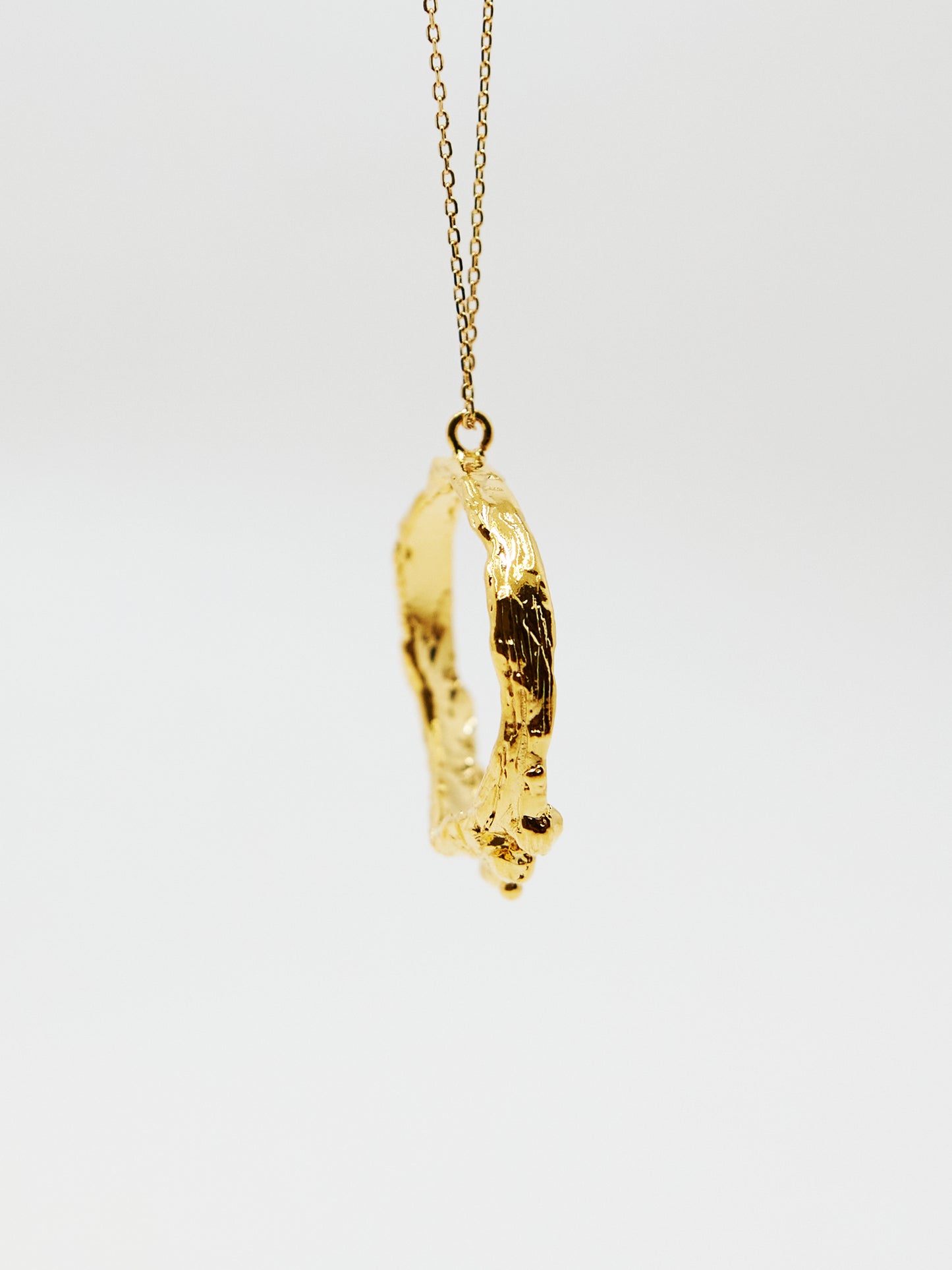 Circle Ring Necklace