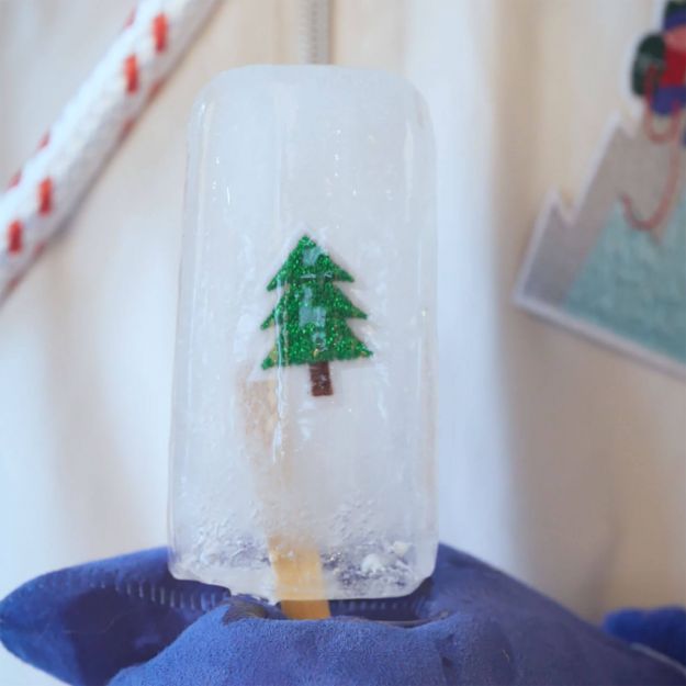 Bonhomme et Sapin