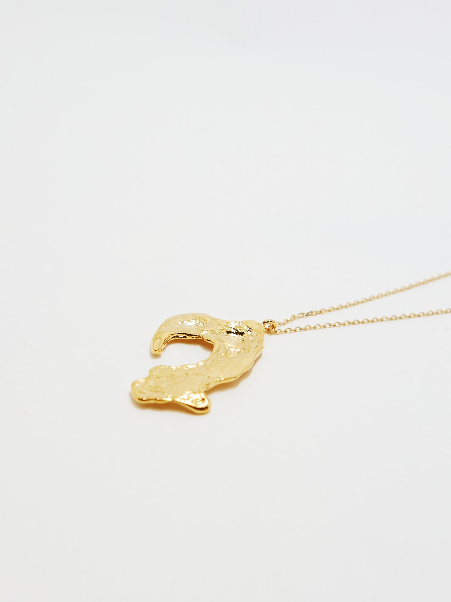 Unique piece necklace